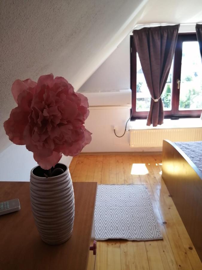 Lotus Apartman Apartment Odorheiu Secuiesc Exterior photo